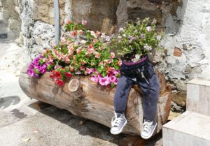 How To Construct A Pocket Garden