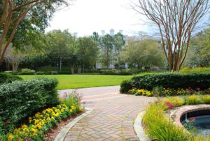 Drought Tolerant garden Ideas-walking path-way