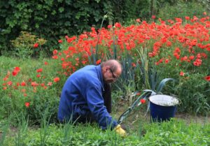 Prepare Your Garden For The Fall-working-in-the-garden