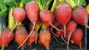 Beets-vegetable-garden