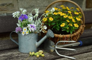 Dealing With Garden Burnout-garden-design