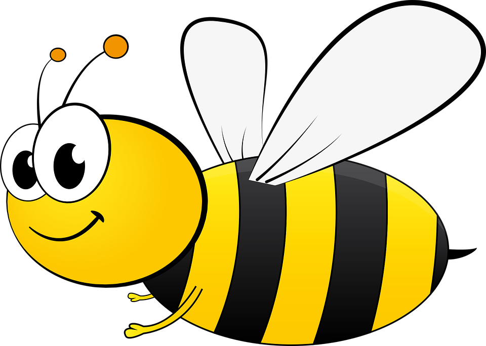 Bumble-bee-insect body parts and functions