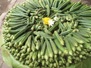 Green okras-okra-health-benefits