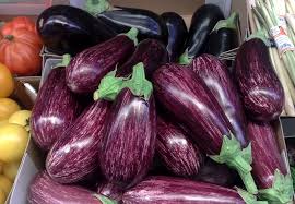 Summer vegetable garden Ideas-eggplants