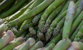 Asparagus-growing asparagus