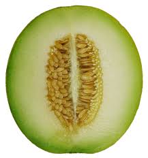 Honeydew melon fruit-Health benefits of honeydew melon