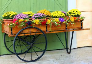 Cart Wagon With Flower-landscping-ideas-for-your-front-yard