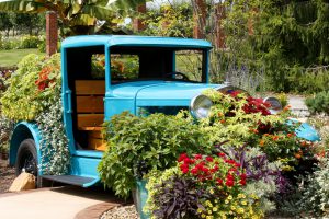 Old blue car-vintage-garden-ideas