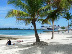 Nassau beach- how to plant a coconut tree