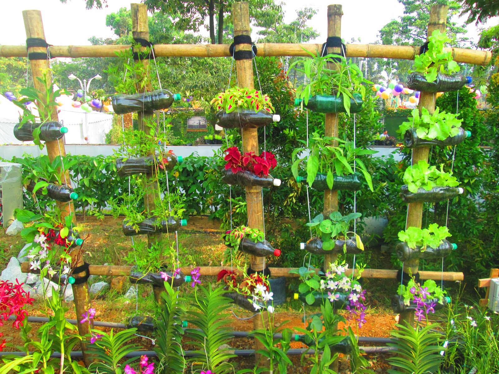 How To Make A Plastic Bottle Garden | EDEN'S GARDEN