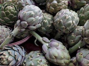 Artichokes-how-to-grow-artichokes 