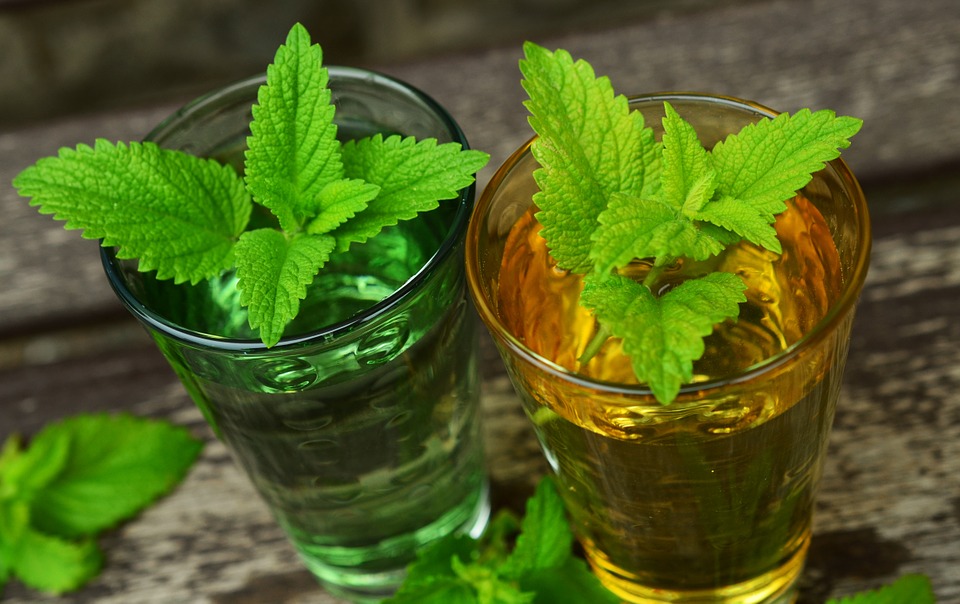 Lemon balm-lemon-balm-tea-benefits