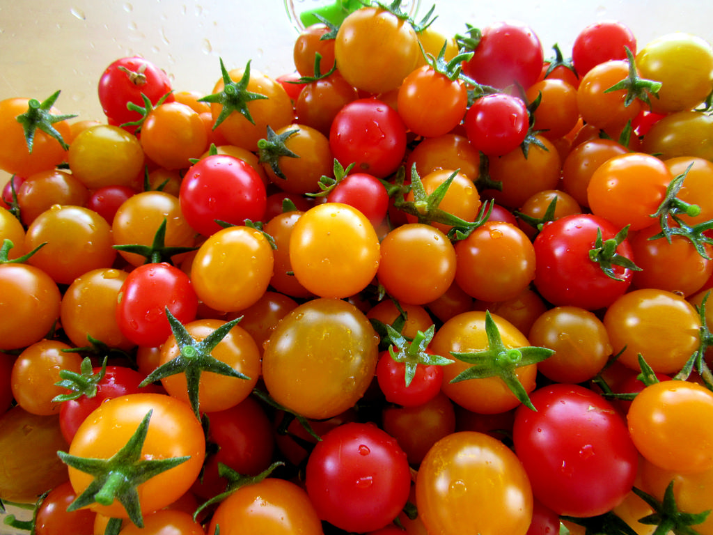 Tomatoes-how-to-grow-tomatoes-in-containers