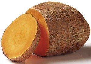 lice sweet potato-How- to- grow- sweet potato- in- the- home- garden