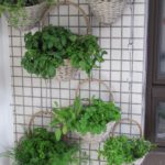 Hanging Baskets-constructing-a-vertical-garden