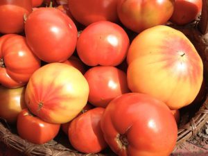 Heirloom Tomatoes-heirloom-tomatoes