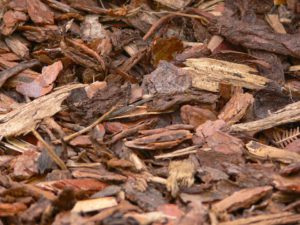 Winter Mulching Tips-bark-mulch