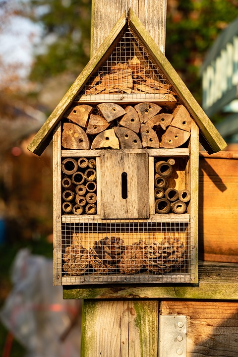 How to Make an Insect Hotel | EDEN'S GARDEN