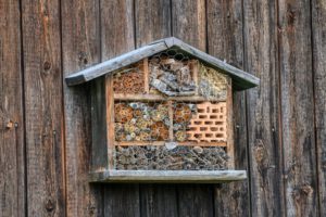 Bee Hotel-how-to-make-an-insect-hotel