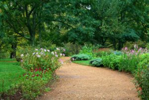 Gravel walking path-how-to-create-a gravel-garden