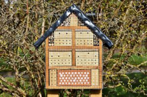 Insect Hotel-how-to-make-an-insect- hotel