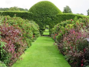 Topiary Garden