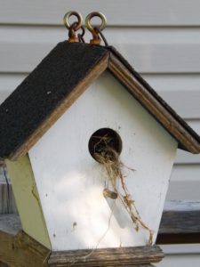 BirdHouse-how-to-attract-sparrows