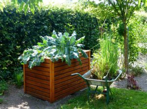 Raise Bed Garden-small-garden-designs-and-layouts