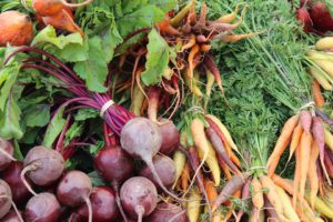 How To Grow Organic Vegetables-vegetables